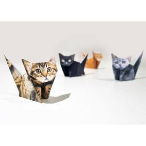 Pikkii Paper Cats